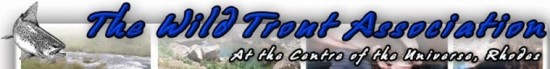 The Wild Trout Association