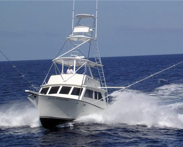 FishingInfo.co.za - Boat
