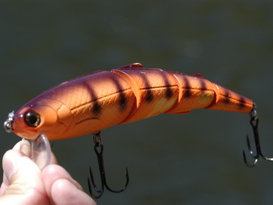 Subsurface Lure - FishingInfo.co.za