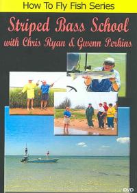 Striped Bass School